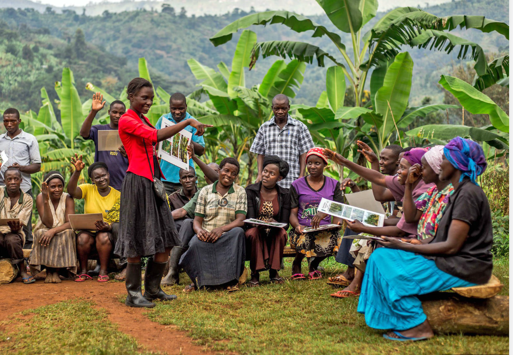 Geisthardt Coffee - Unsere Kaffeefarm in Uganda – Qualität direkt vom Ursprung